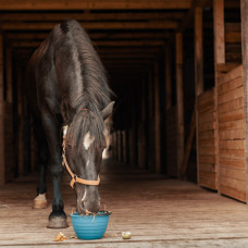 Stable Supplies